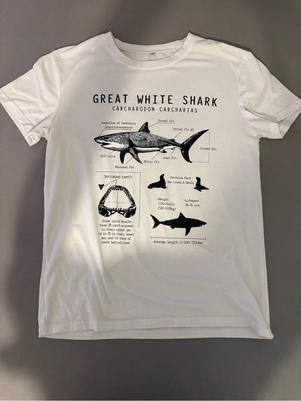 Great White Shark Anatomy Graphic T-Shirt Size Medium White Science Nature Tee